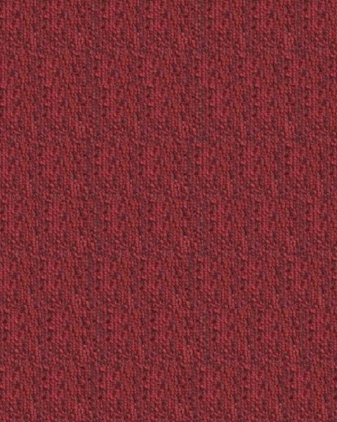 تبوك - 12
