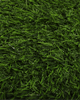 GRASS-F4017