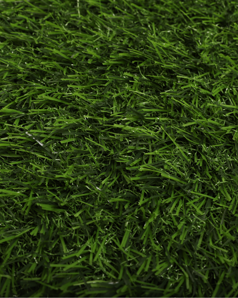 GRASS-F4017