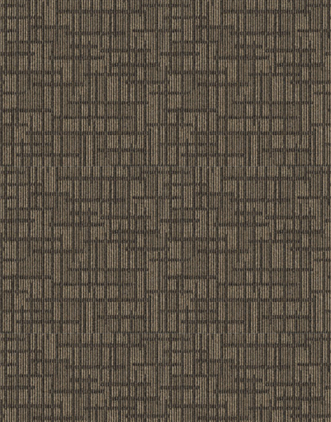 Modern_DR46-Brown